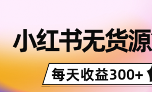 小红书无货源怎么赚钱：0投入起店，无脑图文精细化玩法，每天收益300+-欢迎访问本站